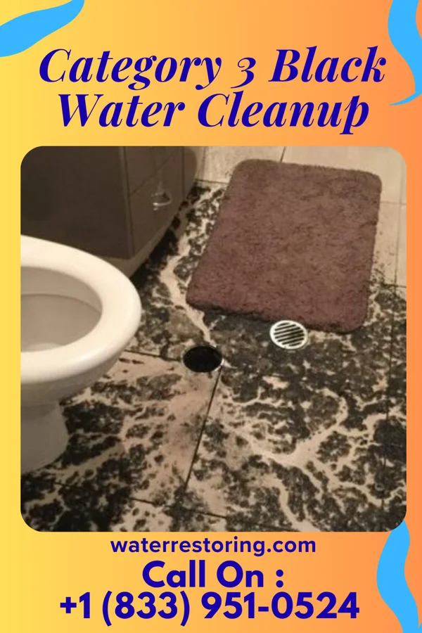 Category 3 Black Water Cleanup in Eldon, MO