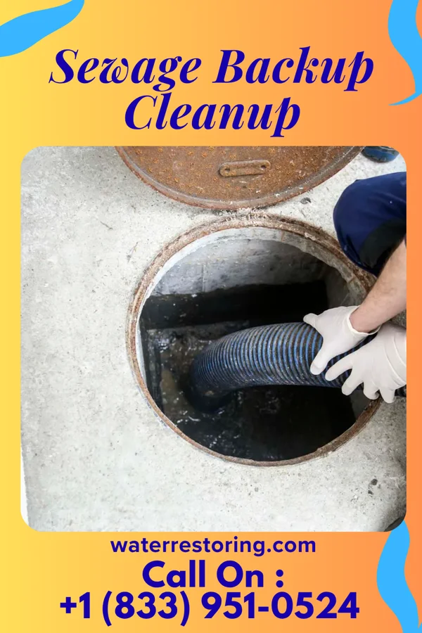 Sewage Backup Cleanup in Eldon, MO