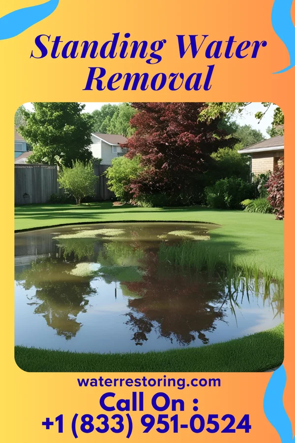 Standing Water Removal in Eldon, MO